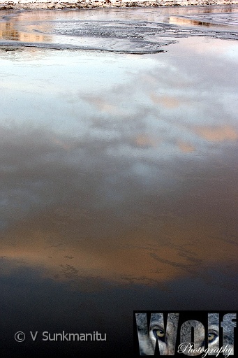 Alta Abstract 007 Copyright Villayat Sunkmanitu.jpg